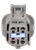 Multi Function Connector | BWDPT3975