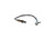 Oxygen Sensor | BOS15284