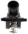 Engine Coolant Water Outlet with Thermostat | 4SE85953