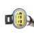 ABS Speed Sensor | BWDABS2683