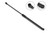Liftgate Lift Support | SBL4B-7628LW