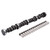 Edelbrock - Camshaft Kit | EDB2106