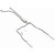Street Series Stainless Cat-Back System | 25K15582