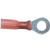 22-18 AWG 1/4" Heat Shrink Ring Connectors | 1135806