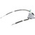 Power Door Lock Actuator | BWDDLA12270
