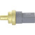Engine Coolant Temperature Sensor | HLS2CTS0490