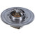 Fail-Safe Thermostat-180 Degrees | MRD7206-180