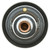 Thermostat-160 Degrees w/ Seal | MRD265-160