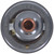 Fail-Safe Thermostat-170 Degrees | MRD7328-170