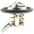 Thermostat-170 Degrees w/ Seal | MRD418-170