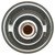 Thermostat-170 Degrees | MRD281-170