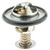 Thermostat-170 Degrees w/ Seal | MRD299-170