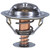 Fail-Safe Thermostat-170 Degrees | MRD7302-170