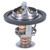 Thermostat-160 Degrees w/ Seal | MRD267-160
