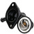 Thermostat Kit-203 Degrees with thermostat, housing and seal | MRD2315KT