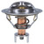 Fail-Safe Thermostat-170 Degrees | MRD7268-170
