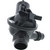 Integrated Housing Thermostat-217 Degrees | MRD828-217