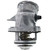Integrated Housing Thermostat- 212 Degrees w/ Gasket | MRD668-212