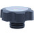 Engine Coolant Reservoir Cap | MRDT47