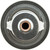 Thermostat-160 Degrees w/ Seal | MRD416-160