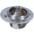 Fail-Safe Thermostat-170 Degrees | MRD7294-170