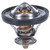 Thermostat-170 Degrees w/ Seal | MRD658-170