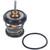 Thermostat Insert- 203 Degrees w/ Seal | MRD707-203