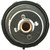 Thermostat-160 Degrees w/ Seal | MRD456-160