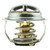 Thermostat-170 Degrees | MRD294-170