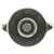 Standard Steel Radiator Cap | MRDT20
