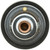 Thermostat-170 Degrees w/ Seal | MRD265-170