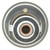 Thermostat-170 Degrees | MRD242-170