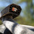 Elevated Intake Kit (Snorkel) - Toyota Tacoma L4-2.4 Turbo | KNE63-8003