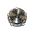 Engine Water Pump | GMB130-9700
