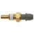 Temperature Sender - With Gauge | BWDWT702