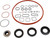Gasket Set, Electric Motor | AJUEV000801