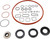 Gasket Set, Electric Motor | AJUEV000801