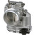Fuel Injection Throttle Body | BWDS20229
