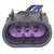 Multi Function Socket | BWDPT2615