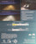 Fog Light Bulb | PHIPS24WFFUSLED