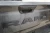 Custom Fit Backup Camera Cleaner Kit | CLVT-101
