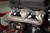 Sbc Exh Manifold 2.5 Outlet, Natural | HKR8525HKR