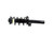Front Suspension Strut and Coil Spring Assembly | ACD903-743RS