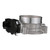Fuel Injection Throttle Body | BWDS20008