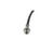Brake Hydraulic Hose | SSG2208618