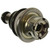 Fuel Pressure Regulator | BWD24279
