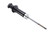 Rear Shock Absorber | ACD19436397
