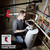 M12 ROVER Multi-Directional Flood Light w/ PACKOUT Compatibility | MET2350-20