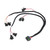 V-8 Injector Harness | HOL558-200