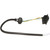 Liftgate Release Switch | BWDLGS314